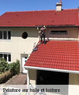 Peinture sur tuile et toiture  46500