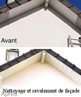 Nettoyage et ravalement de façade  46700